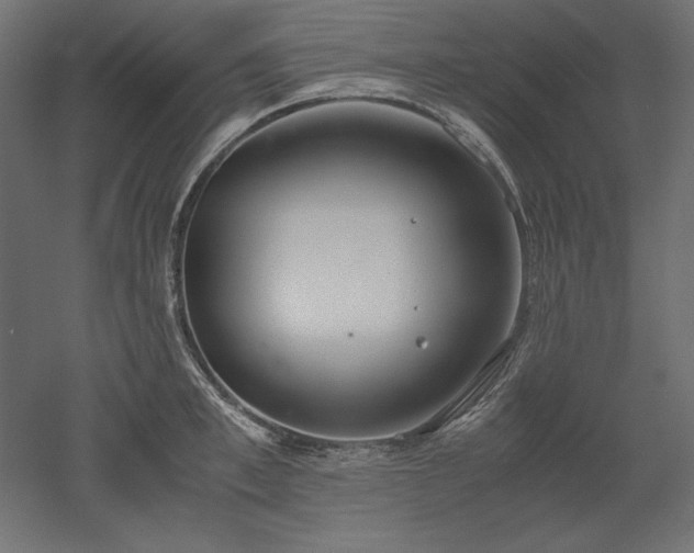 X0000051910997200507011529