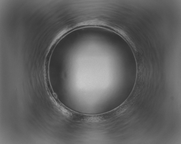 X0000051910998200507011529