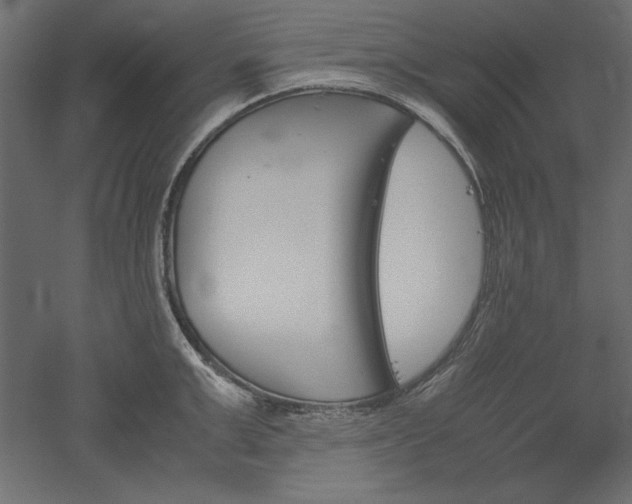 X0000051910999200507011529