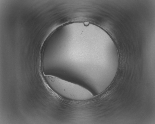 X0000051911000200507011529