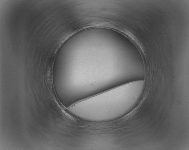 X0000051911001200507011529