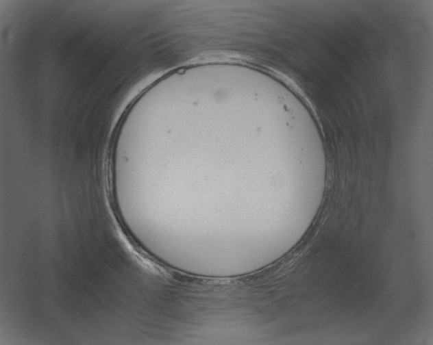 X0000051911003200507011529