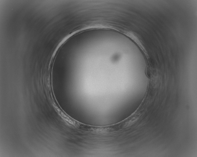 X0000051911004200507011529