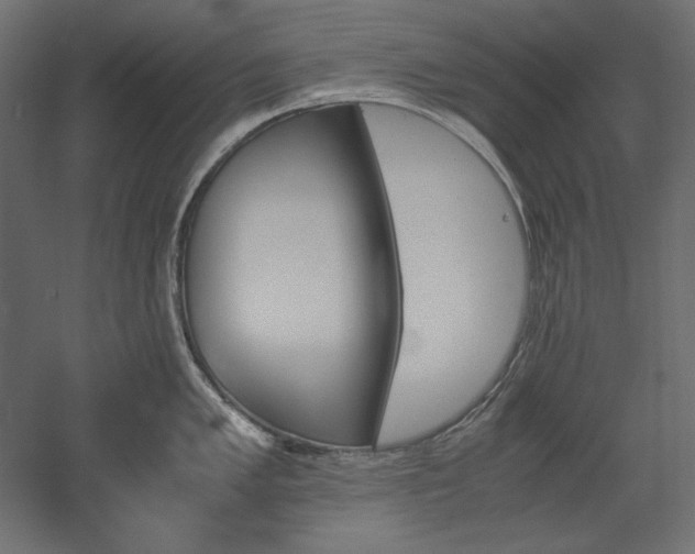 X0000051911005200507011529