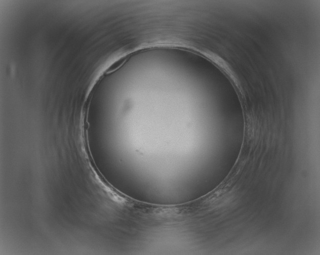 X0000051911006200507011528