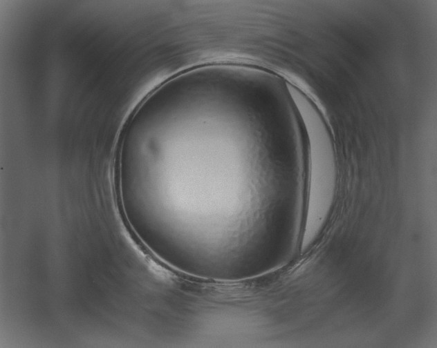 X0000051911007200507011528