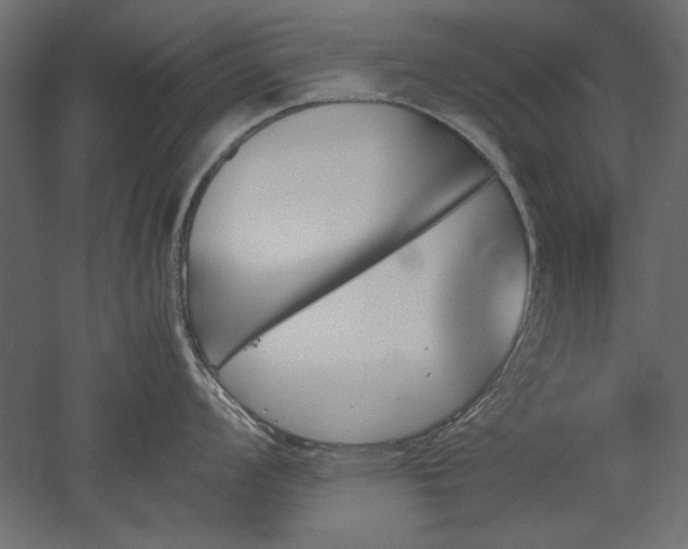 X0000051911008200507011528