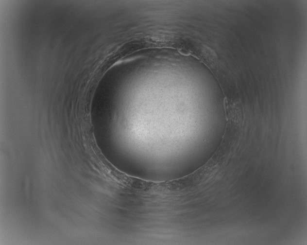 X0000051911009200507011528