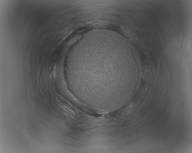 X0000051911010200507011528