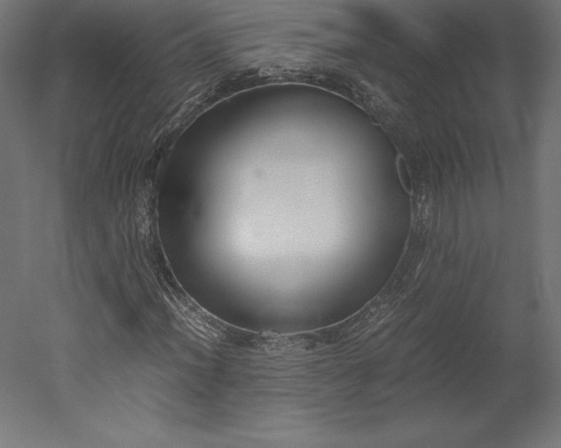 X0000051911012200507011528