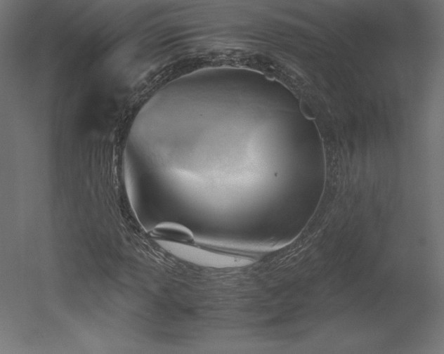 X0000051911013200507011528