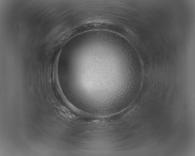 X0000051911014200507011528