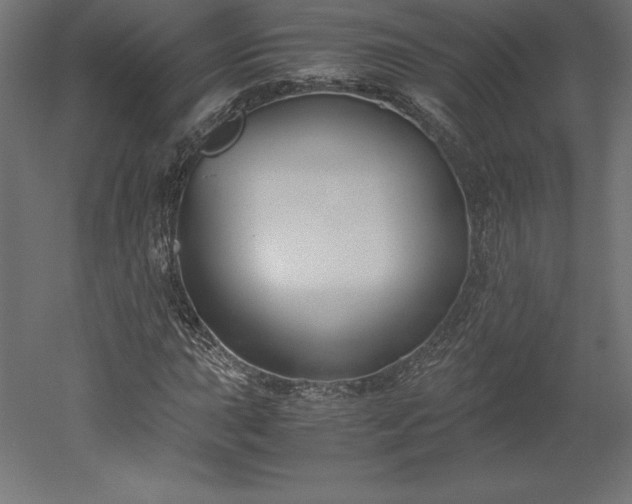 X0000051911015200507011528