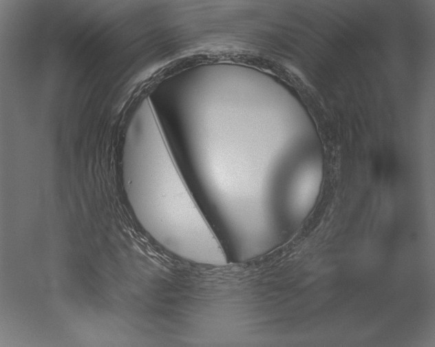 X0000051911016200507011528