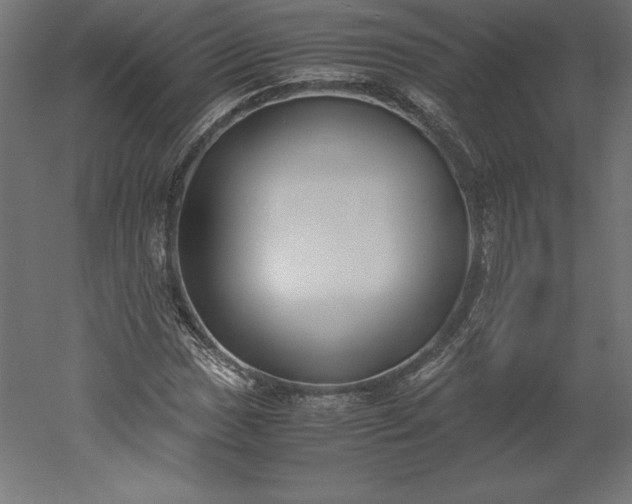 X0000051911017200507011528