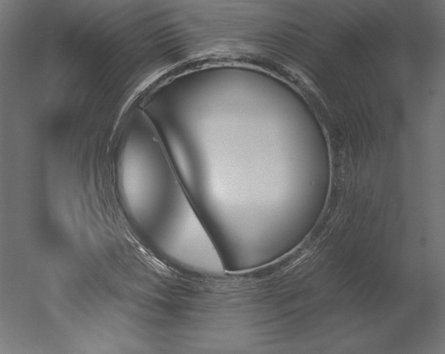 X0000051911018200507011528