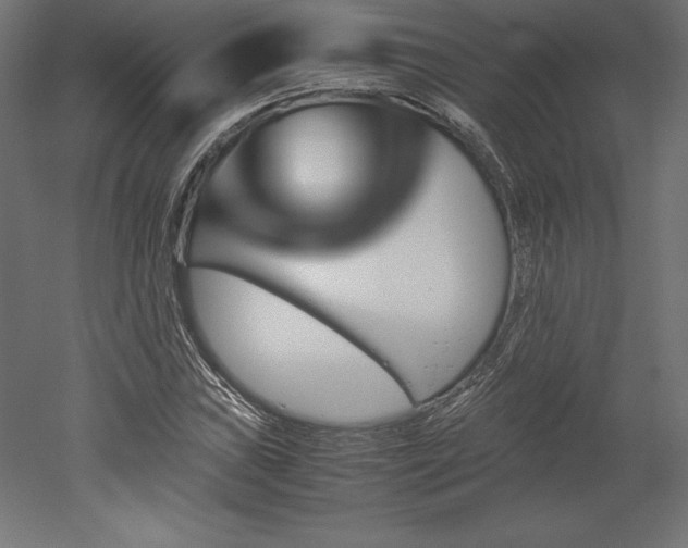 X0000051911019200507011528