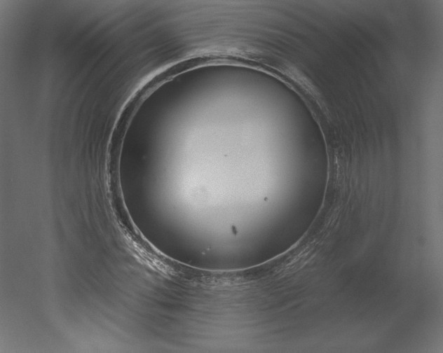 X0000051911020200507011528