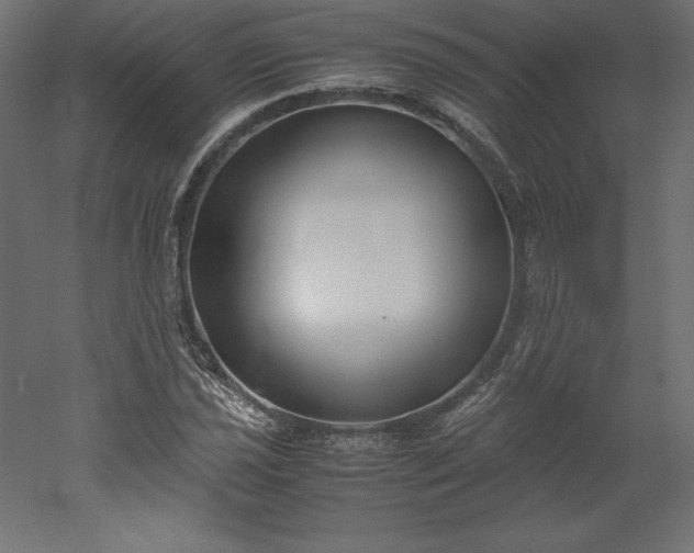 X0000051911021200507011528