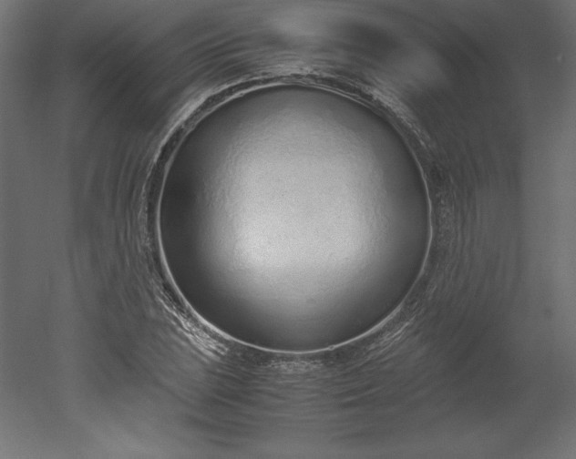 X0000051911023200507011528