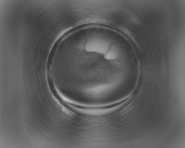 X0000051911024200507011528