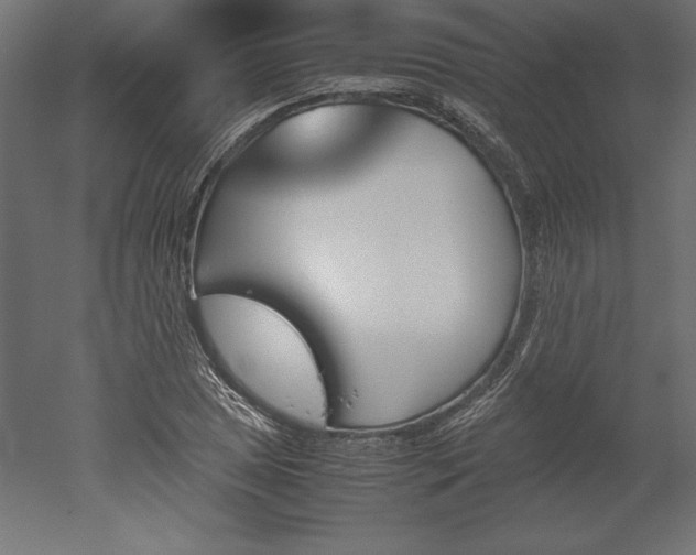 X0000051911025200507011528