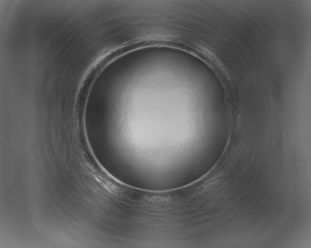 X0000051911027200507011528