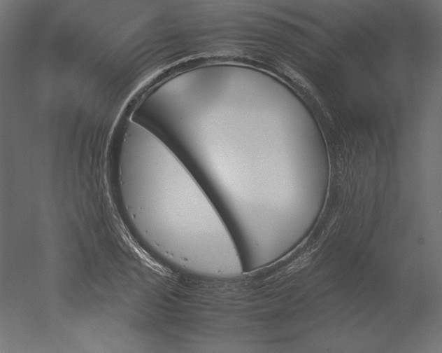 X0000051911029200507011528