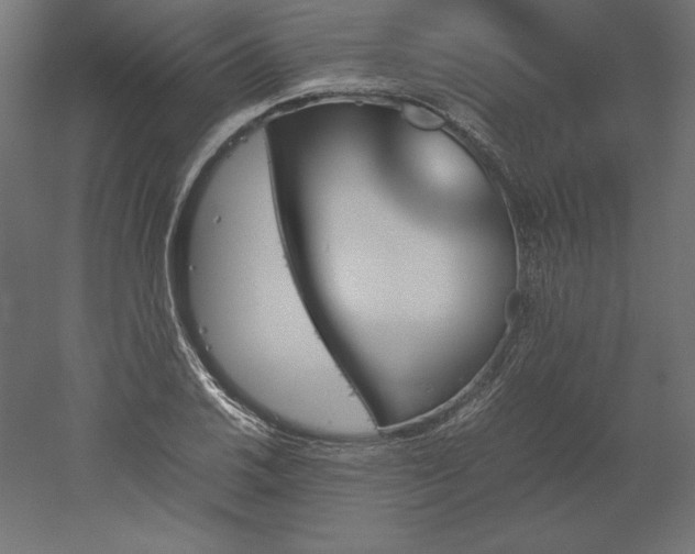 X0000051911030200507011528