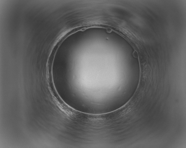 X0000051911031200507011528