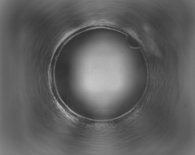 X0000051911032200507011528