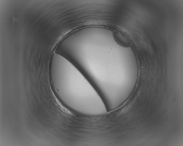 X0000051911033200507011528