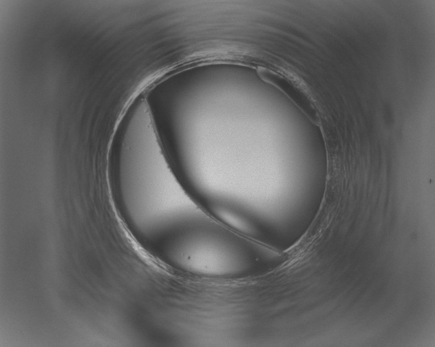 X0000051911034200507011528