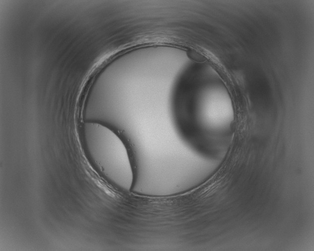 X0000051911035200507011528