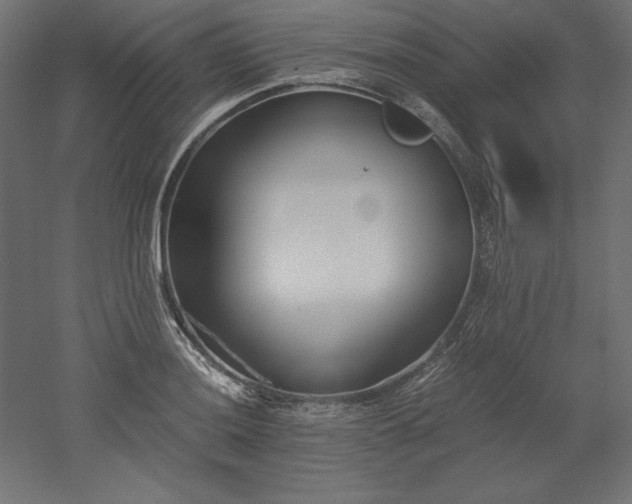 X0000051911036200507011528