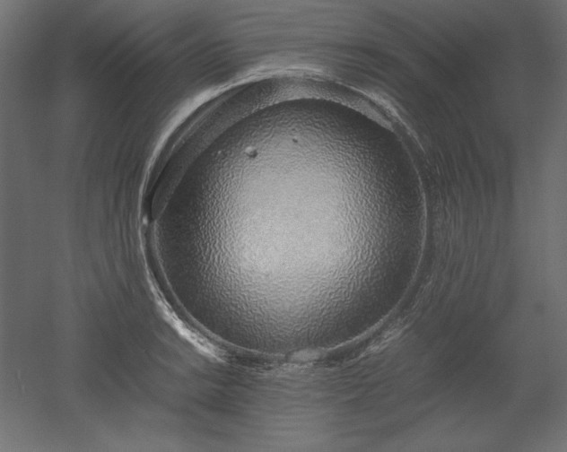 X0000051911038200507011528