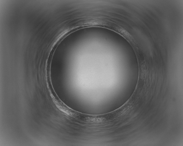 X0000051911039200507011528