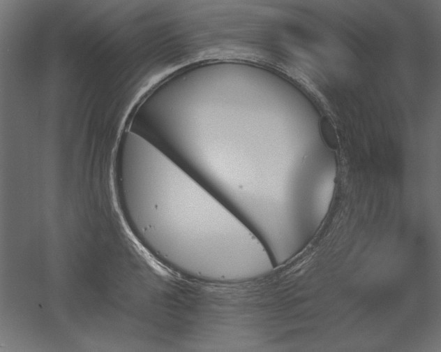 X0000051911040200507011528