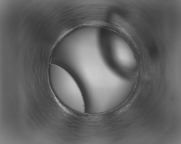 X0000051911041200507011528