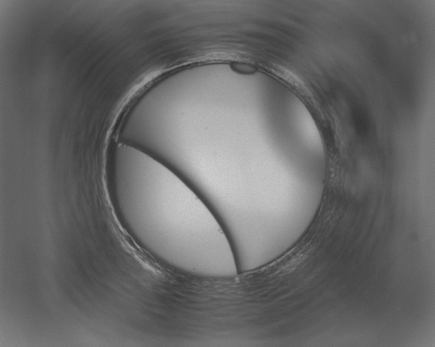 X0000051911043200507011528