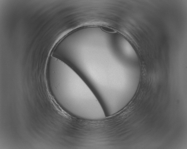 X0000051911044200507011528