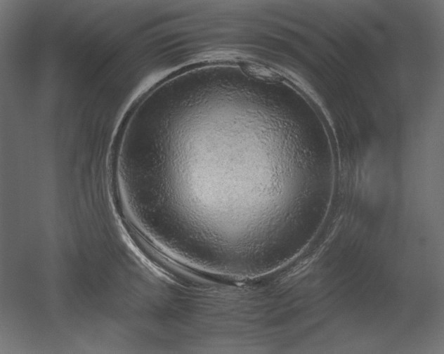 X0000051911045200507011528