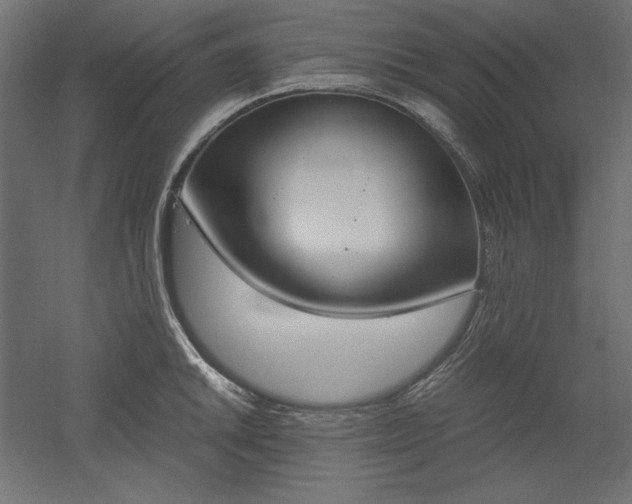 X0000051911046200507011528