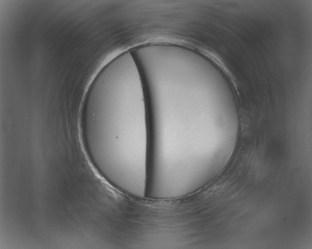 X0000051911048200507011528