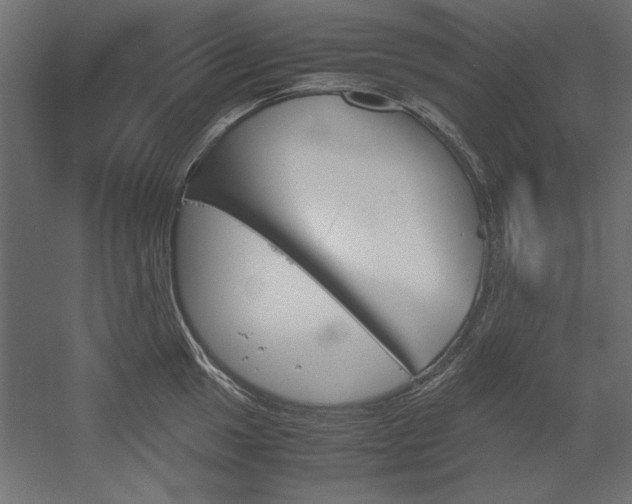 X0000051911049200507011528