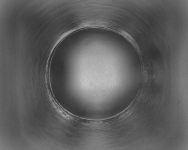 X0000051911052200507011528