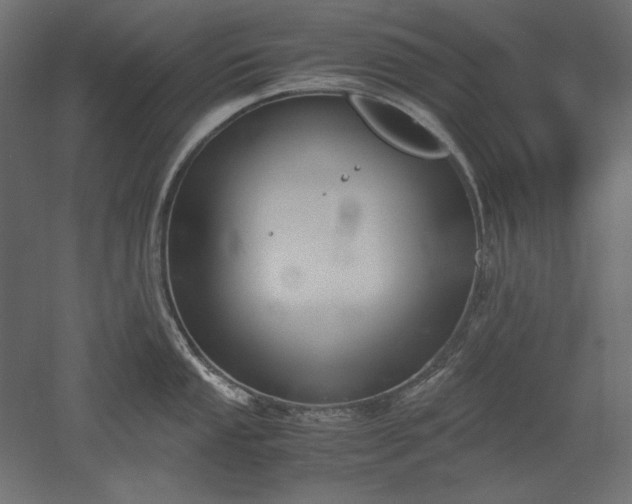 X0000051911053200507011528