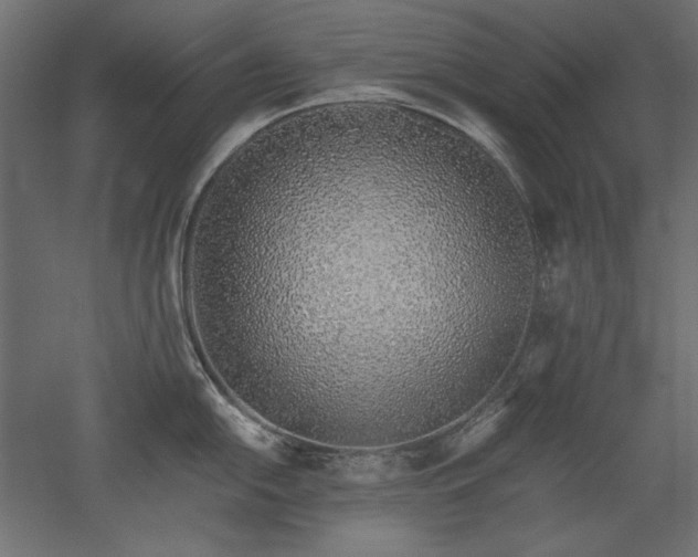 X0000051911054200507011528