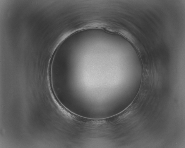 X0000051911055200507011528