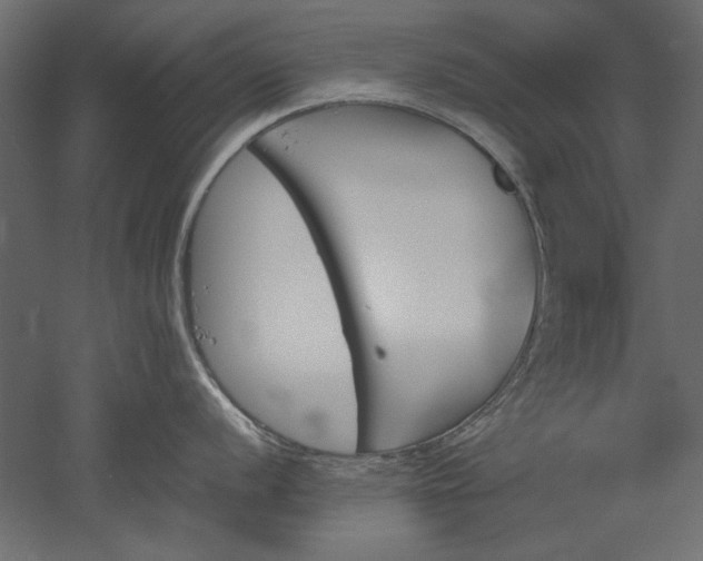 X0000051911056200507011528